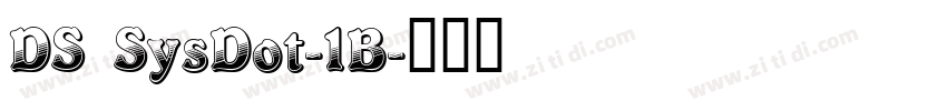 DS SysDot-1B字体转换